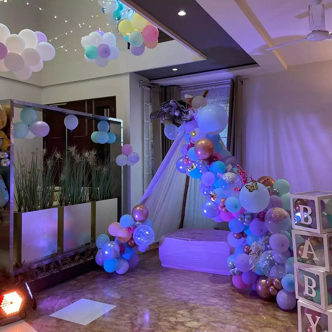 Butterfly Canopy Setup