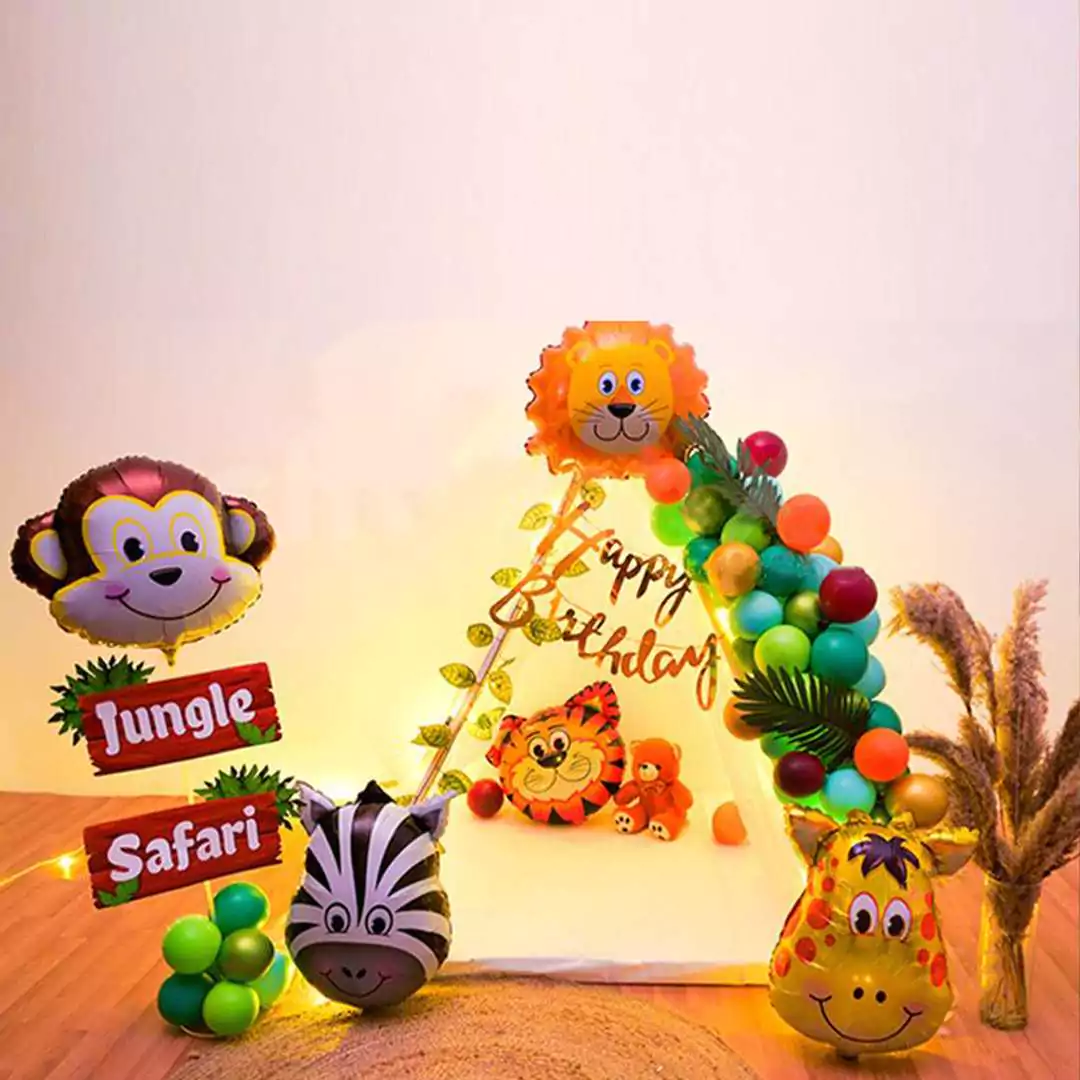 Frozen Theme Kids Canopy